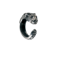 Jaguar dunlop D427 ring