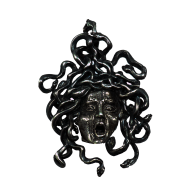 Medusa del Caravaggio brunita