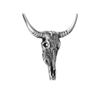 Ox skull